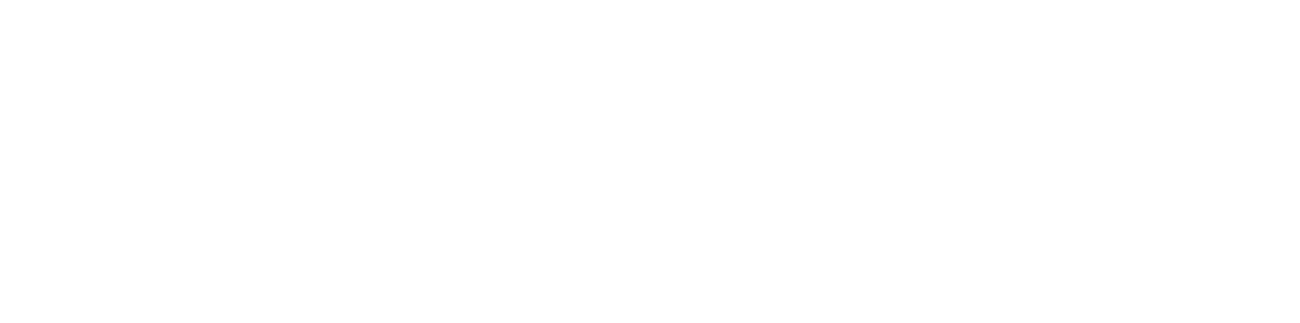 Safenet Group